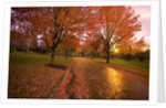 Sunset in autumn along a country road by Anonymous