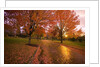 Sunset in autumn along a country road by Anonymous
