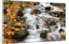 Water running over rocks in Wahkeena Creek by Anonymous