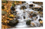 Water running over rocks in Wahkeena Creek by Anonymous