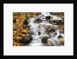 Water running over rocks in Wahkeena Creek by Anonymous