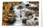 Water running over rocks in Wahkeena Creek by Anonymous