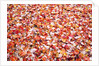 Pile of autumn leaves by Anonymous