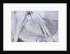 Ice crystals over creek by Anonymous