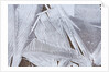 Ice crystals over creek by Anonymous