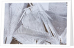 Ice crystals over creek by Anonymous