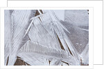 Ice crystals over creek by Anonymous