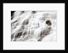 Waterfall near Mount Hood by Anonymous