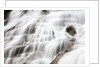 Waterfall near Mount Hood by Anonymous