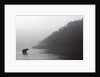 Brown Bear in Fog, Katmai National Park, Alaska by Anonymous