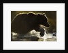 Fishing Brown Bear, Katmai National Park, Alaska by Anonymous