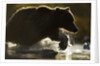 Fishing Brown Bear, Katmai National Park, Alaska by Anonymous