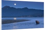 Brown Bear and Full Moon, Katmai National Park, Alaska by Anonymous