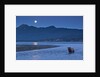 Brown Bear and Full Moon, Katmai National Park, Alaska by Anonymous