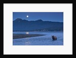 Brown Bear and Full Moon, Katmai National Park, Alaska by Anonymous