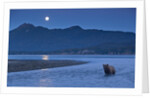 Brown Bear and Full Moon, Katmai National Park, Alaska by Anonymous