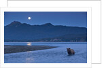 Brown Bear and Full Moon, Katmai National Park, Alaska by Anonymous