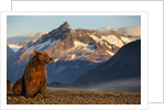 Brown Bear at Dawn, Katmai National Park, Alaska by Anonymous