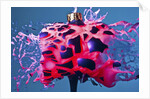 Chapstick Explosion by Anonymous
