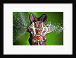 Dum Dum Bunny by Anonymous