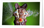 Dum Dum Bunny by Anonymous