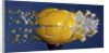Yellow Jawbreaker Broken by Anonymous