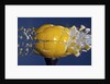 Yellow Jawbreaker Broken by Anonymous