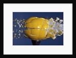 Yellow Jawbreaker Broken by Anonymous