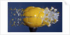 Yellow Jawbreaker Broken by Anonymous
