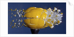 Yellow Jawbreaker Broken by Anonymous