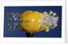 Yellow Jawbreaker Broken by Anonymous