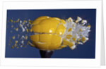 Yellow Jawbreaker Broken by Anonymous