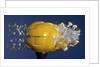 Yellow Jawbreaker Broken by Anonymous