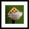 Pretzel Logic by Anonymous