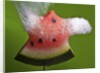 Watermelon Explosion by Anonymous