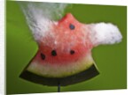 Watermelon Explosion by Anonymous