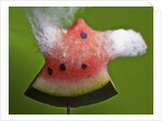 Watermelon Explosion by Anonymous