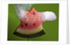 Watermelon Explosion by Anonymous