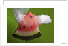 Watermelon Explosion by Anonymous