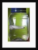 Water Figure by Anonymous