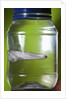 Water Figure by Anonymous
