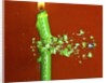 Candle Splat by Anonymous