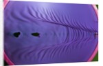 Rubber Wave by Anonymous