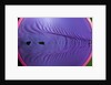 Rubber Wave by Anonymous