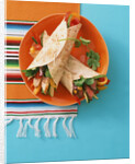 Fajitas (wheat tortillas with meat and chicken filling) by Anonymous