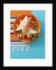 Fajitas (wheat tortillas with meat and chicken filling) by Anonymous