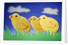 Three Easter chicks by Anonymous