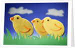 Three Easter chicks by Anonymous