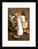 Fresh king oyster mushrooms on autumn leaves by Anonymous
