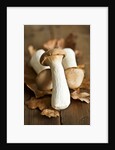 Fresh king oyster mushrooms on autumn leaves by Anonymous